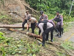 Sigap Tangani Longsor, Polres Keerom Pastikan Jalan Kembali Normal