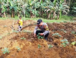 Dekat dengan Warga, Bhabinkamtibmas Kaimana Bagikan Benih Jagung untuk Pekarangan Rumah