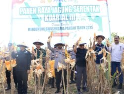 Kapolda Papua Pimpin Panen Raya Jagung Kuartal III, Wujudkan Dukungan Polri terhadap Swasembada Pangan