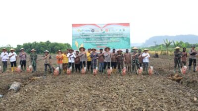 Polda Papua Dukung Program Swasembada Pangan Melalui Penanaman Jagung Serentak Kuartal IV di Keerom