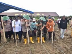 Polda Papua Barat Gelar Tanam Raya Jagung Serentak Kuartal IV Tahun 2025
