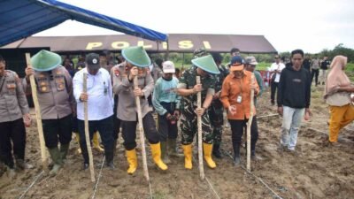 Polda Papua Barat Gelar Tanam Raya Jagung Serentak Kuartal IV Tahun 2025