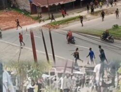 Makna Burung Cenderawasih dan Aksi Rusuh di Boven Digoel