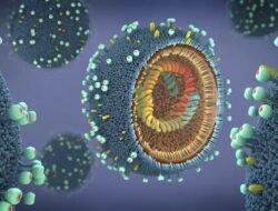 Kasus Flu Meroket di Indonesia, Cegah dengan Kenali Jenis Influenza A dan Gejalanya