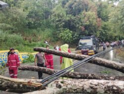 Sinergi Cepat Polri dan Warga Bersihkan Pohon Tumbang di Skyland Jayapura