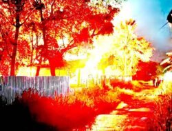 Kebakaran yang melahap satu unit rumah di jalan Gemaripah dalam penanganan Polres Merauke