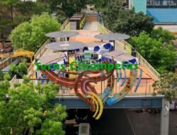 Asusila di Teras Cihampelas Viral, Satpol PP Siap Tindak dan Perketat Pengawasan