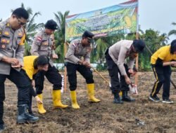 Dukung Program Ketahanan Pangan Nasional, Polresta Jayapura Kota Optimalkan Lahan Produktif di Wilayah Perbatasan