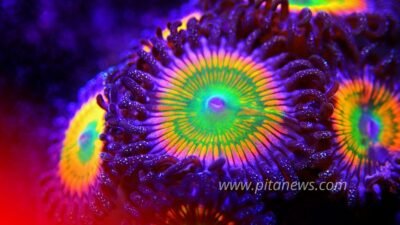 Kenali Super Flu Varian Baru, Simak Langkah yang Harus dan Jangan Dilakukan!