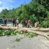 Polsek Muara Tami Sigap Tangani Pohon Tumbang di Jalan Poros Koya Tengah