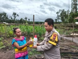 Polsek Elikobel Dukung Program Ketahanan Pangan dengan Pembersihan Lahan Jagung Seluas 2 HA