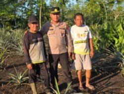 Serap Aspirasi Warga, KBO Binmas Polres Sarmi Sambangi Petani Nanas Mararena