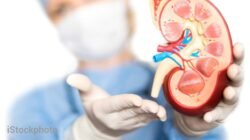 Sederet Air Rebusan Ini Ampuh Jaga Ginjal Tetap Sehat