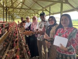 Satgas Saber Papua Temukan Sejumlah Komoditas Pangan di Atas HAP dan HET di Keerom