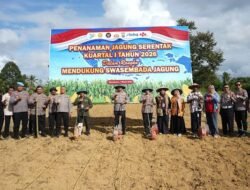 Polda Papua Barat Gelar Tanam Raya Jagung Dukung Ketahanan Pangan Nasional