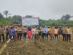 Polres Jayapura dan Kelompok Tani Namblong Tanam Jagung, Wujud Nyata Dukung Ketahanan Pangan