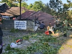 Atas Kesigapan Babinsa Jajarannya Atasi Bencana Pohon Tumbang, Dandim 1310/Bitung Beri Apresiasi