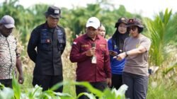 Wakapolda Papua Barat dan Kepala BRMP Optimalkan Pengembangan Benih Jagung untuk Ketahanan Pangan Papua Barat