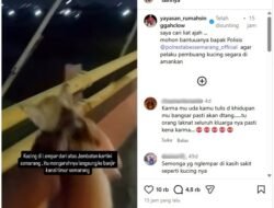 Polrestabes Semarang Dalami Kasus Video Viral Pembuangan Kucing di Jembatan Kartini